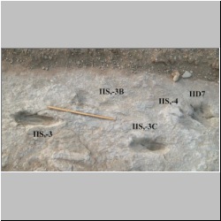 102_6695 (2013-08-11)mod lab.jpg